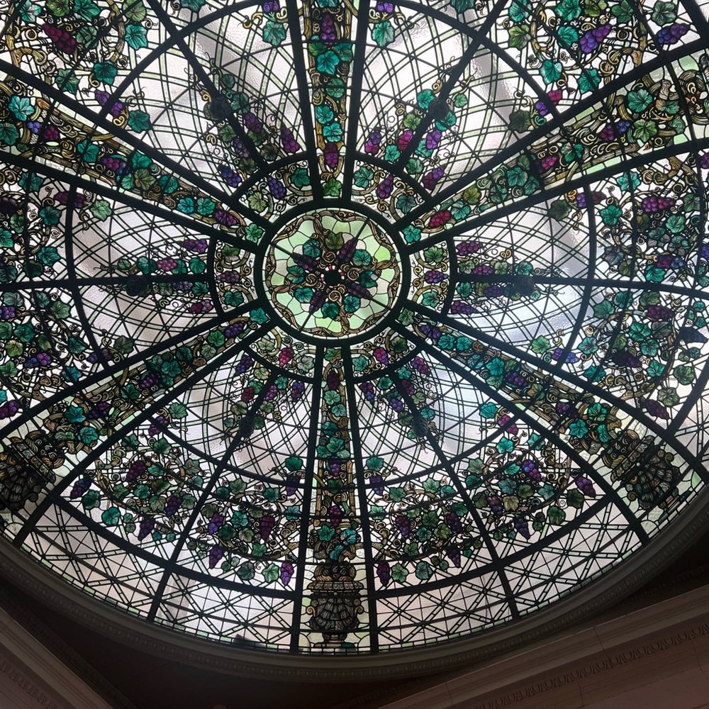 Meet your Posher, Yosefa